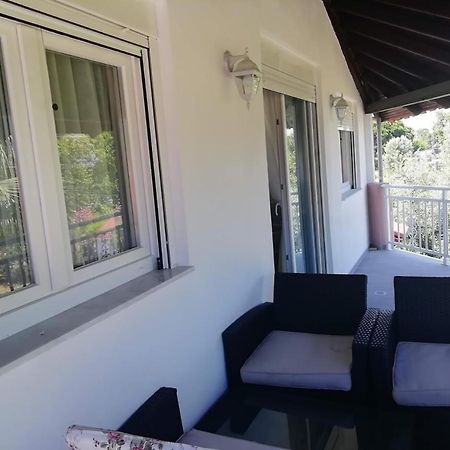 Villa Fotis View ปาราเลีย สโกทินิส ภายนอก รูปภาพ